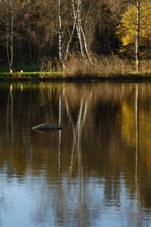 Naturfotografie Workshop Waldviertel - 1025